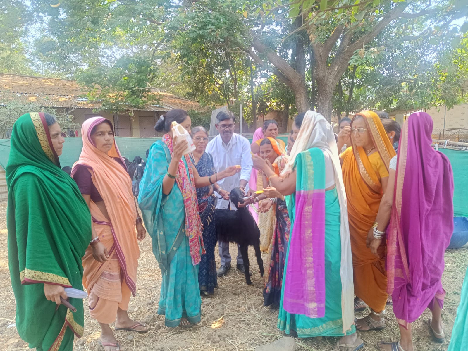 Demonstration Of Deworming To Pashusakhi